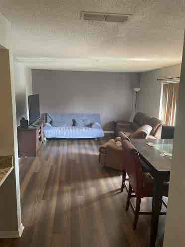 AUGUST 1st 
ROOM FOR RENT S TAMPA