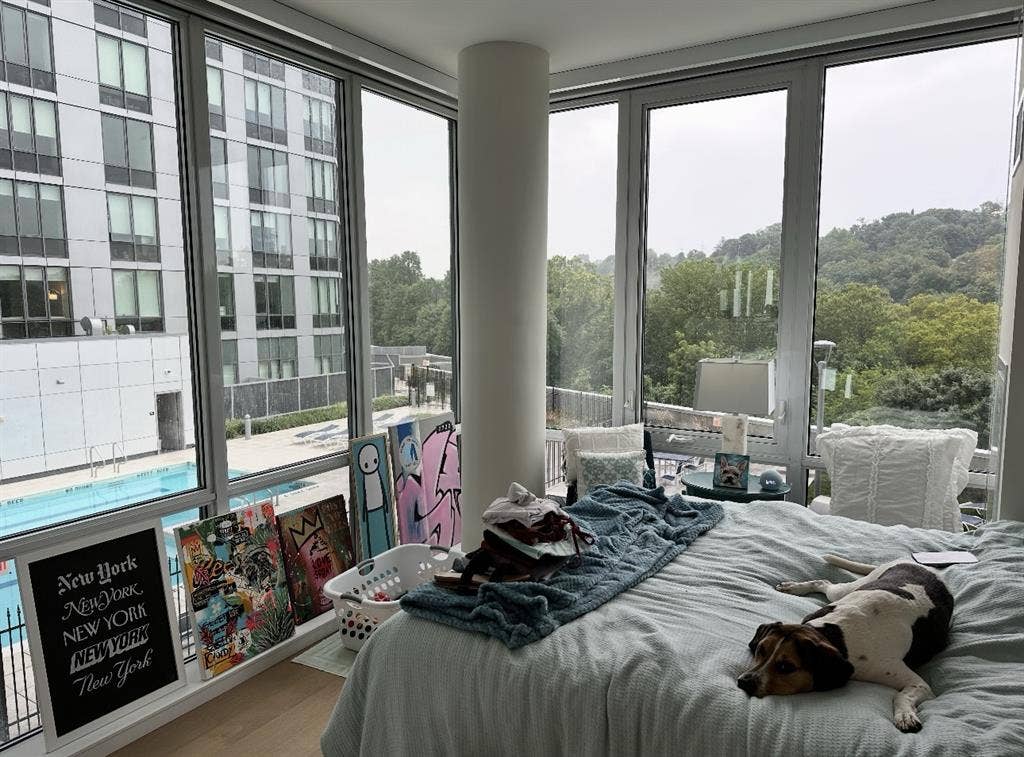 ROOMMATE NEEDED