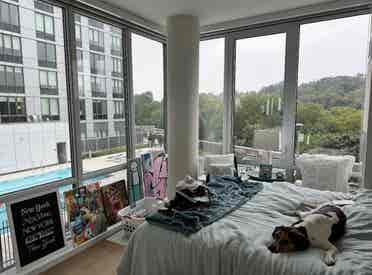 ROOMMATE NEEDED