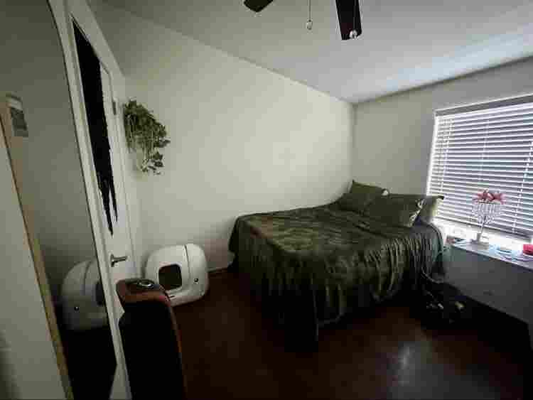 Single bedroom - quail valley