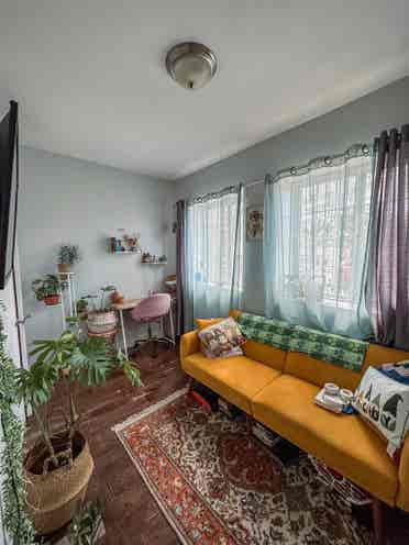 🏡 ISO Roommate in Bed-Stuy