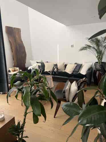 Highland Park room for rent!
