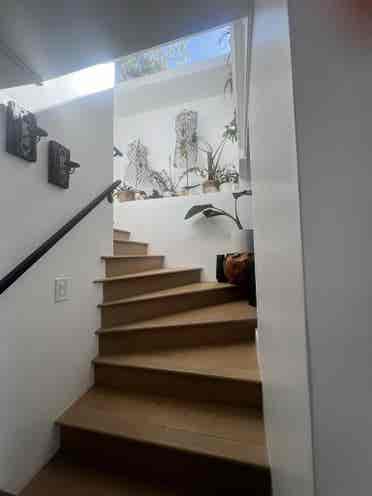 Highland Park room for rent!