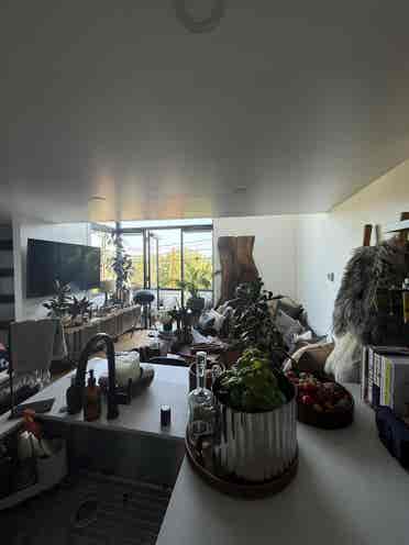 Highland Park room for rent!