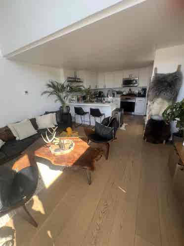 Highland Park room for rent!