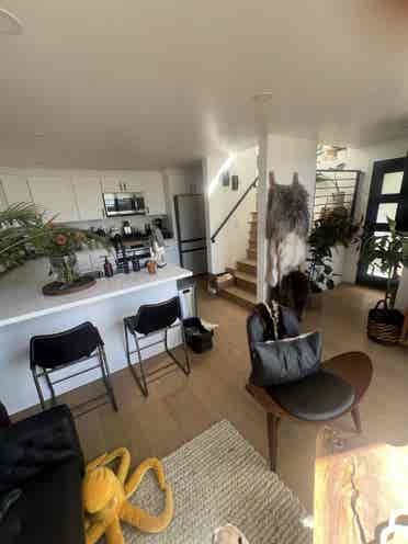 Highland Park room for rent!