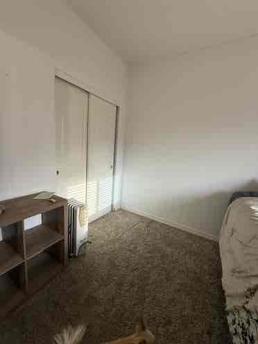 Spacious room in shared home