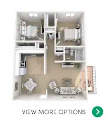Female roommate wanted!