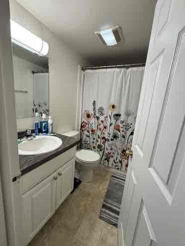 Female roommate wanted!
