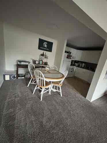 Female roommate wanted!