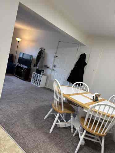 Female roommate wanted!