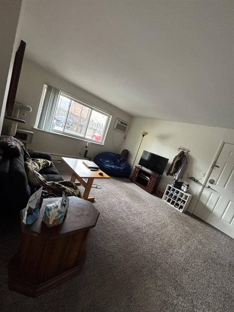 Female roommate wanted!