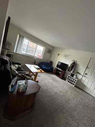 Female roommate wanted!