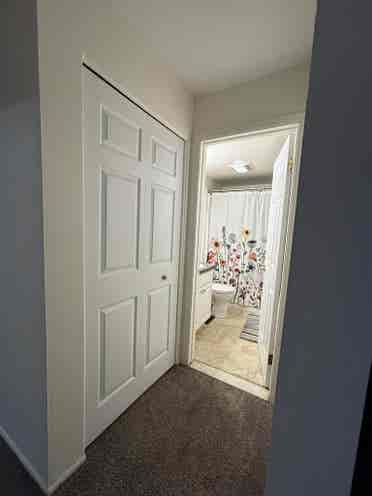 Female roommate wanted!