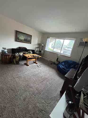 Female roommate wanted!