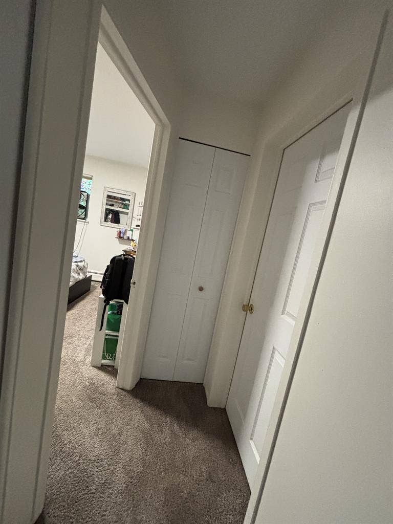 Female roommate wanted!