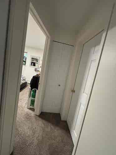 Female roommate wanted!