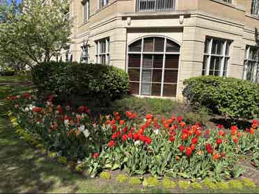 Room for rent in Downtown Evanston