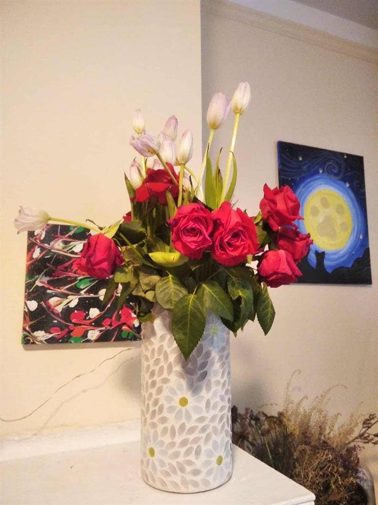 Room for rent in Downtown Evanston