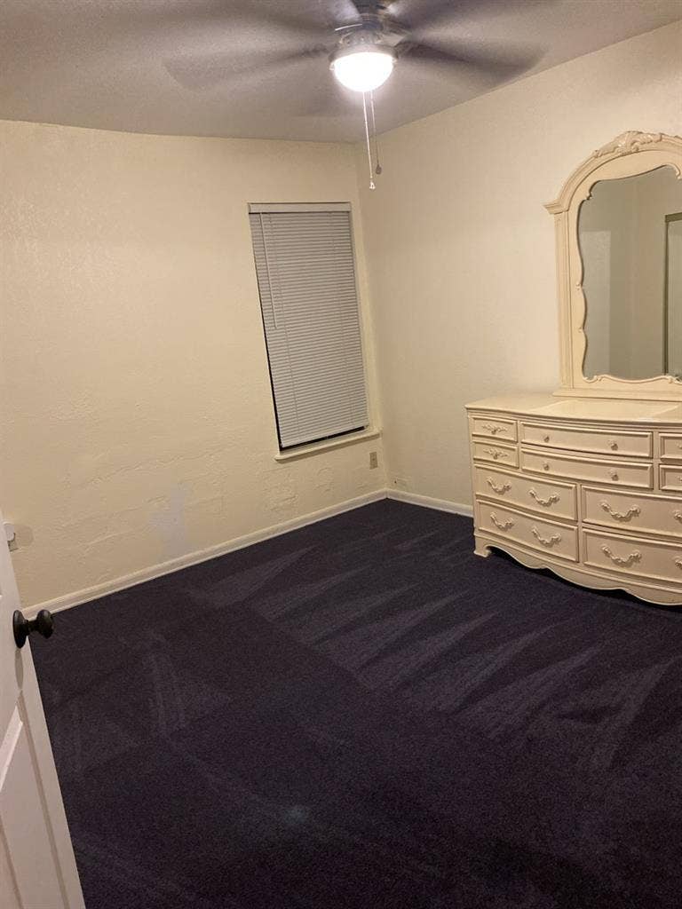 Looking for a Clean & tidy roommate