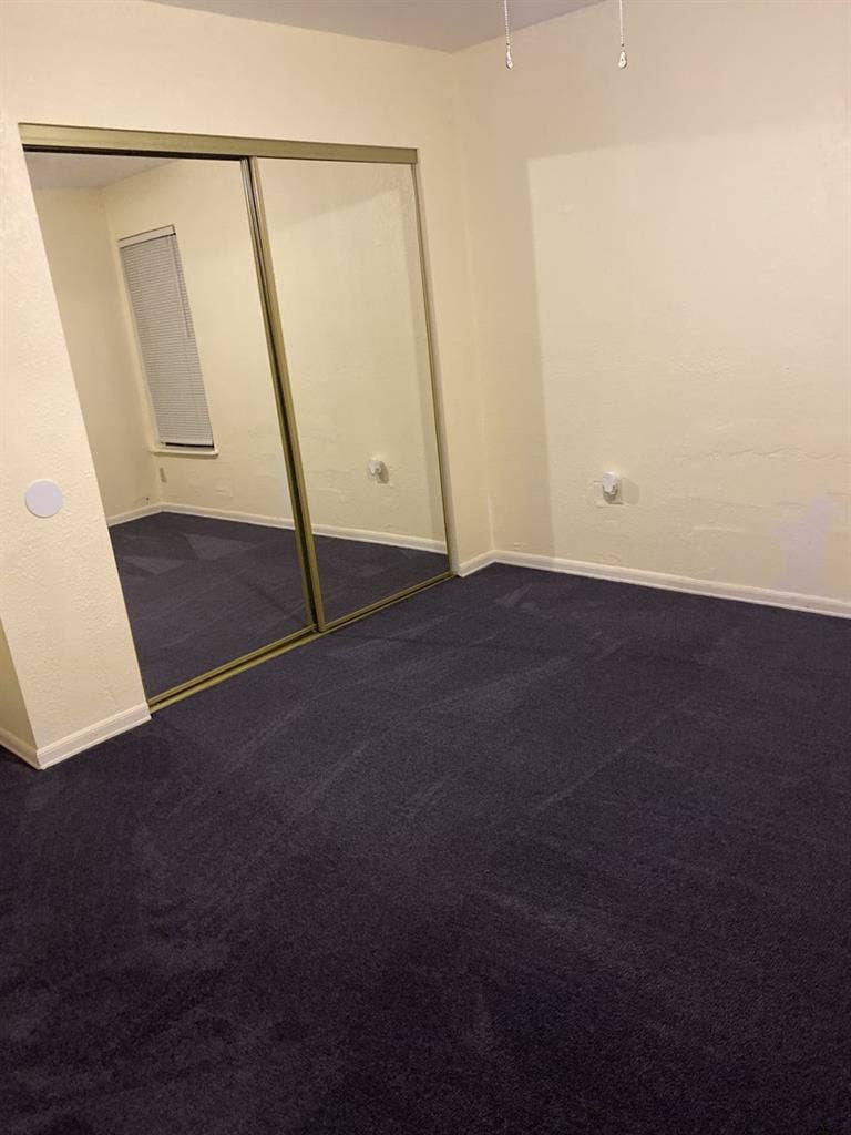 Looking for a Clean & tidy roommate