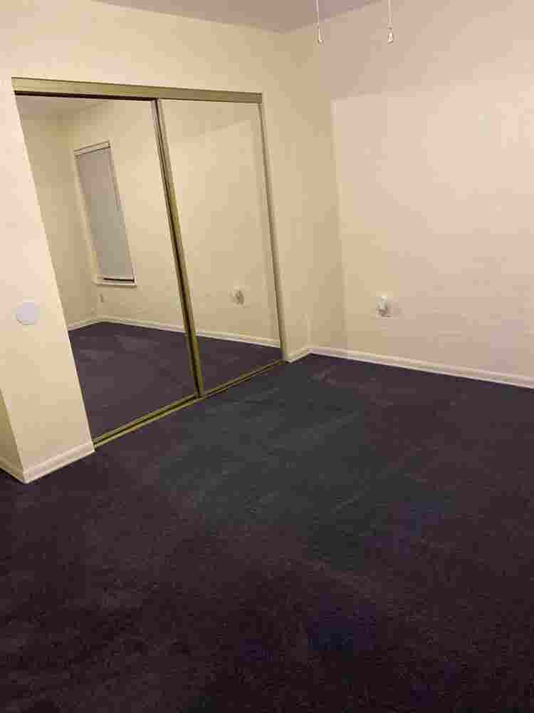Looking for a Clean & tidy roommate