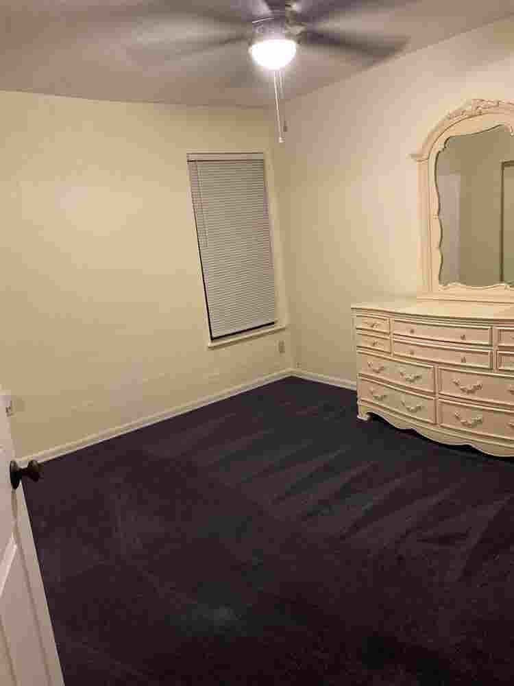Looking for a Clean & tidy roommate