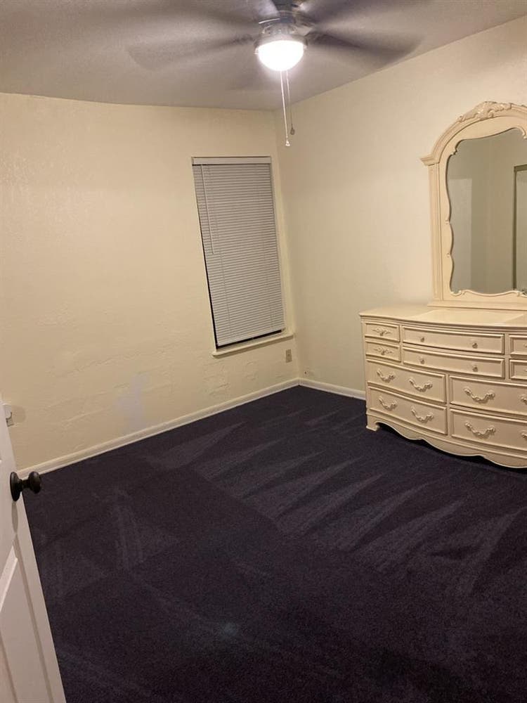 Looking for a Clean & tidy roommate