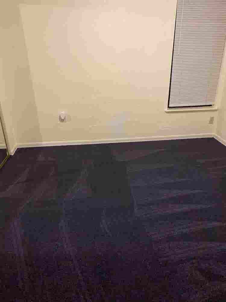 Looking for a Clean & tidy roommate
