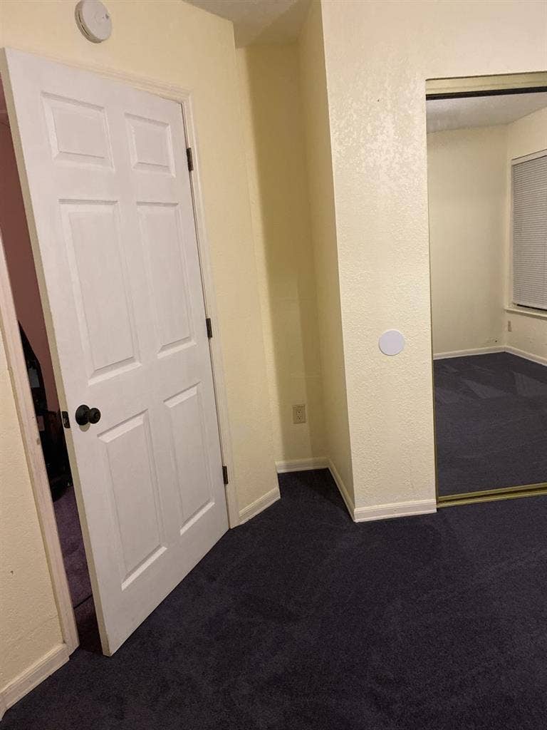 Looking for a Clean & tidy roommate