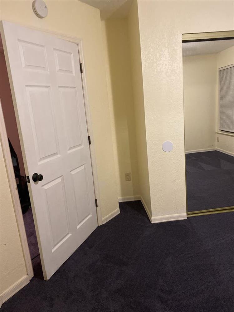 Looking for a Clean & tidy roommate