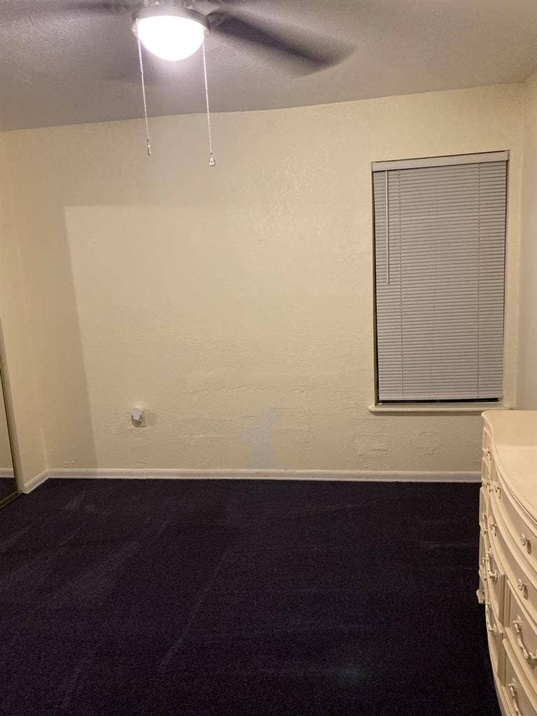 Looking for a Clean & tidy roommate