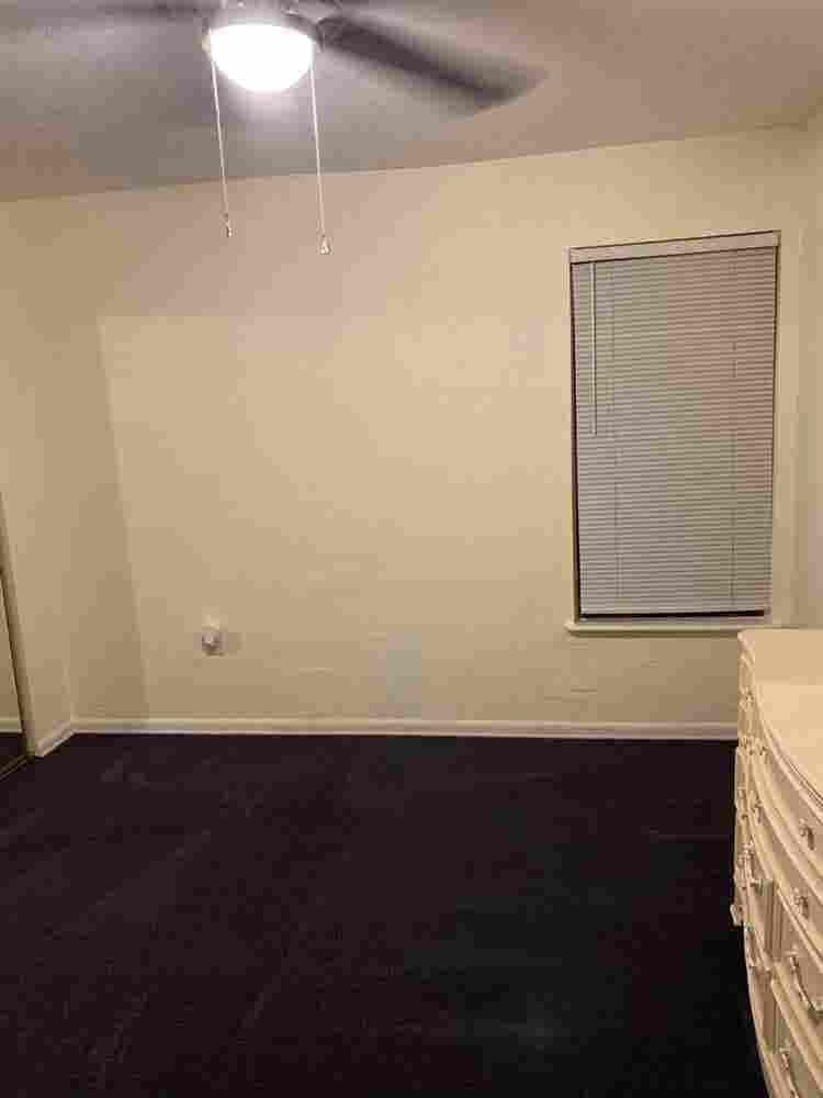Looking for a Clean & tidy roommate
