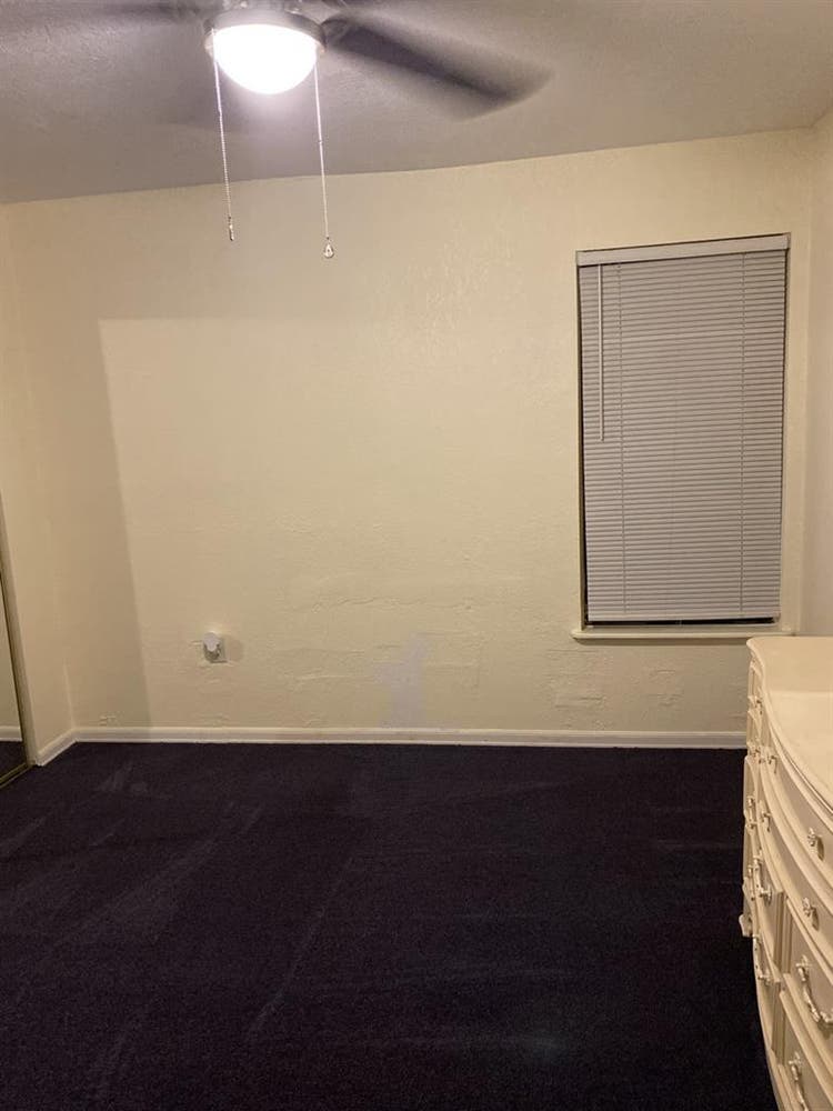 Looking for a Clean & tidy roommate