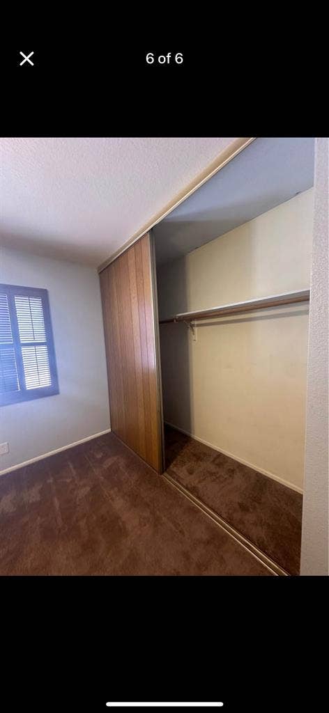 Looking for our missing roomate!