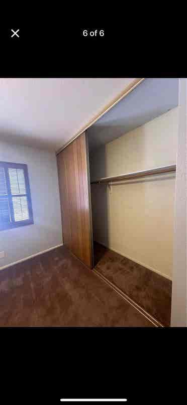 Looking for our missing roomate!