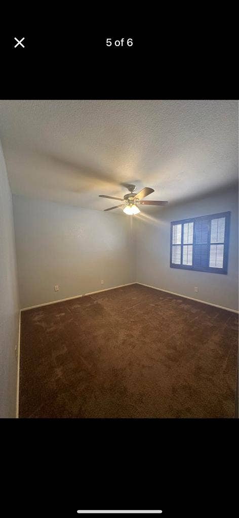 Looking for our missing roomate!