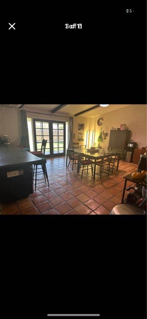 Looking for our missing roomate!