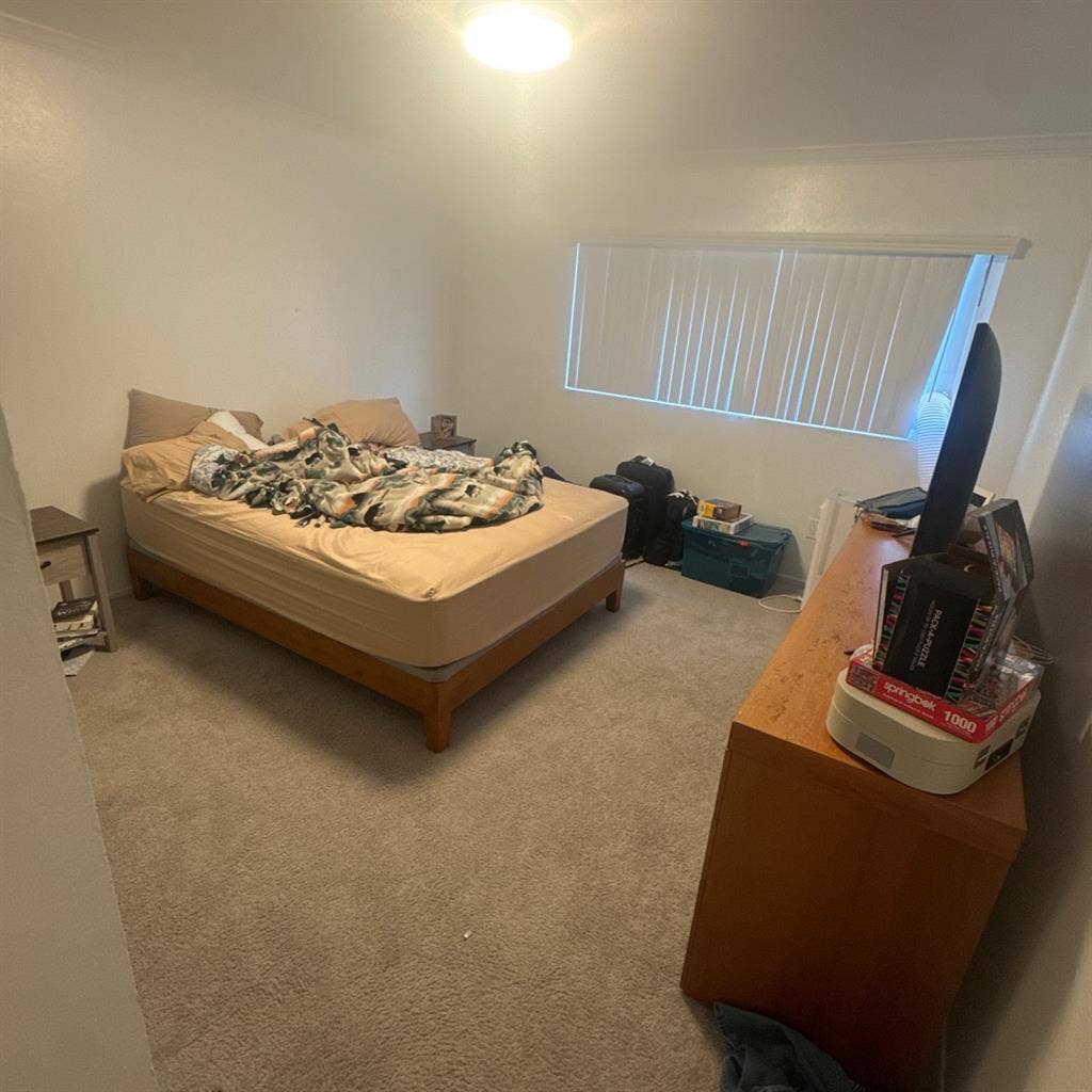 Looking for roommate! Girlie only