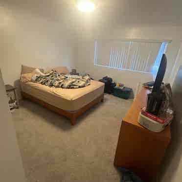 Looking for roommate! Girlie only