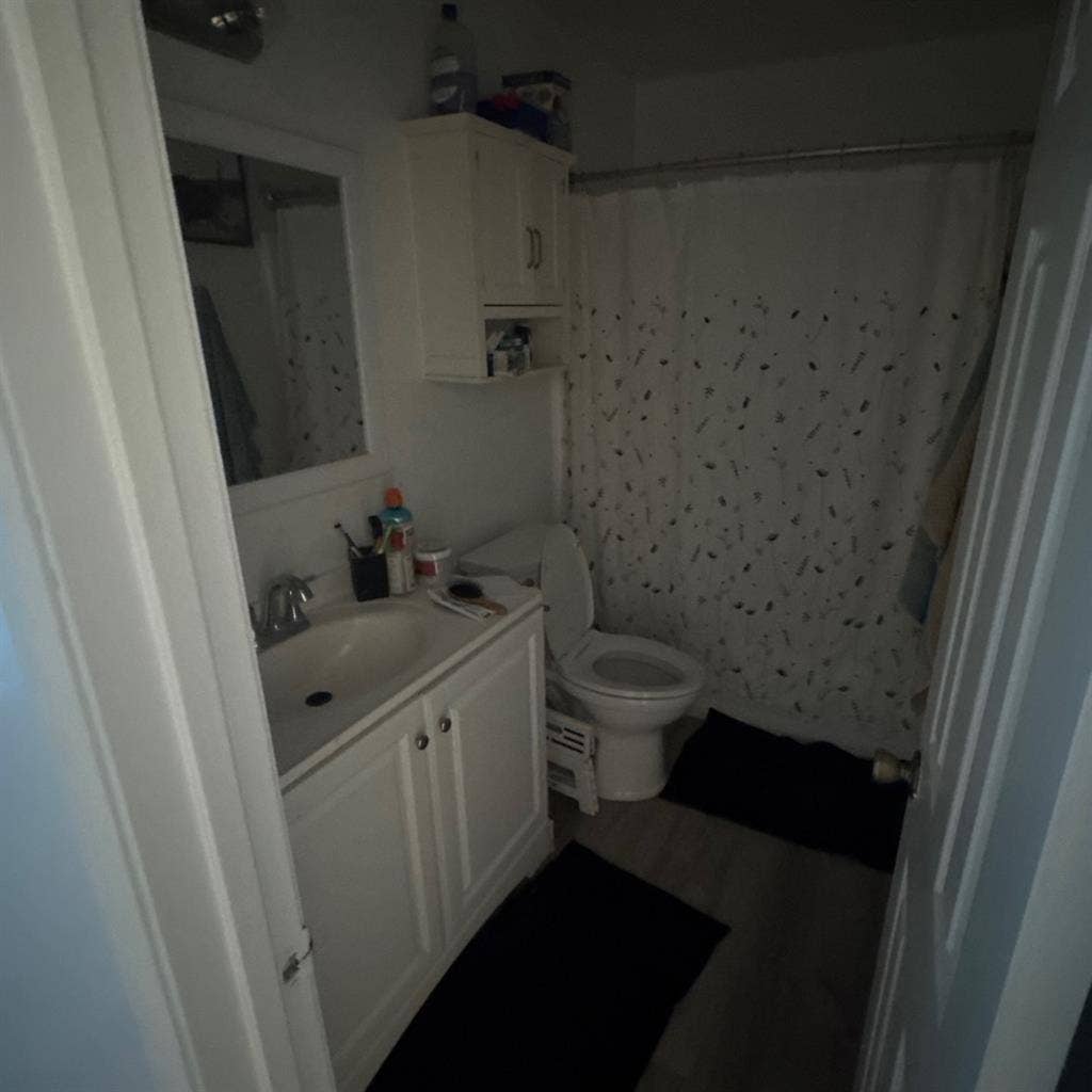 Looking for roommate! Girlie only