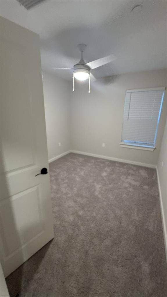 Looking for a roommate!