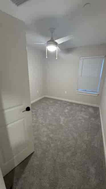 Looking for a roommate!