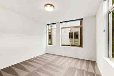 ISO Roommate for Ballard Townhouse!