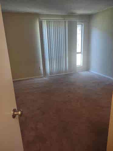 Room for Rent in Apartment