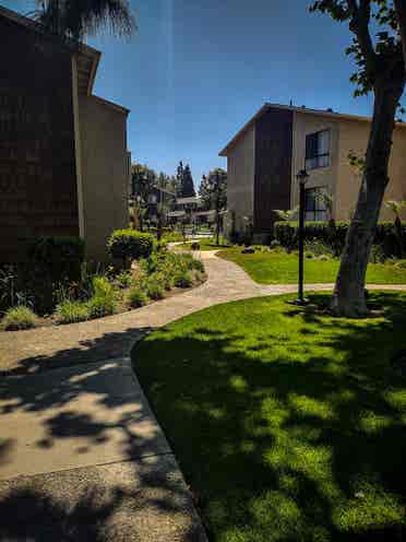 Room for Rent in Apartment