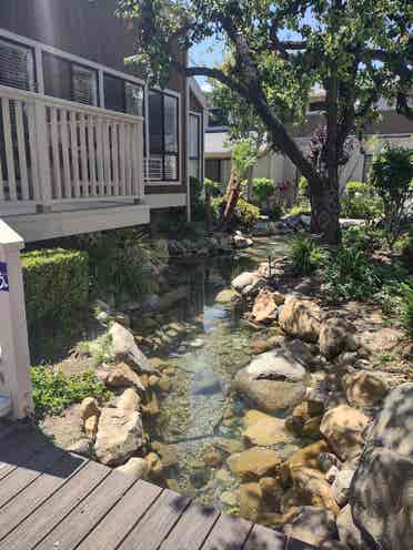 Room for Rent in Apartment