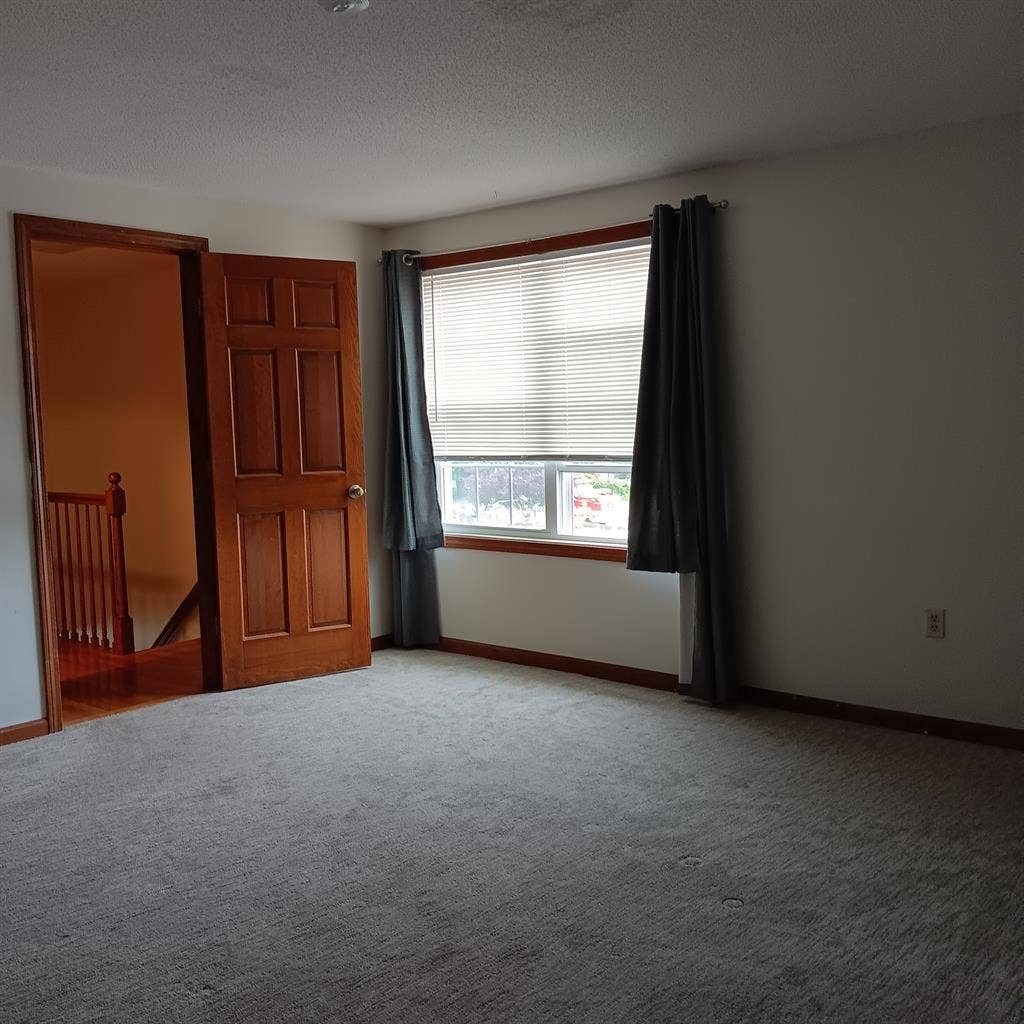 Professional female roommate wanted