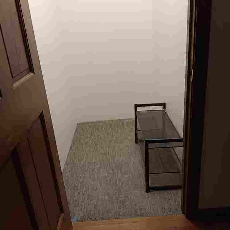 Professional female roommate wanted