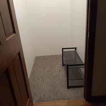 Professional female roommate wanted
